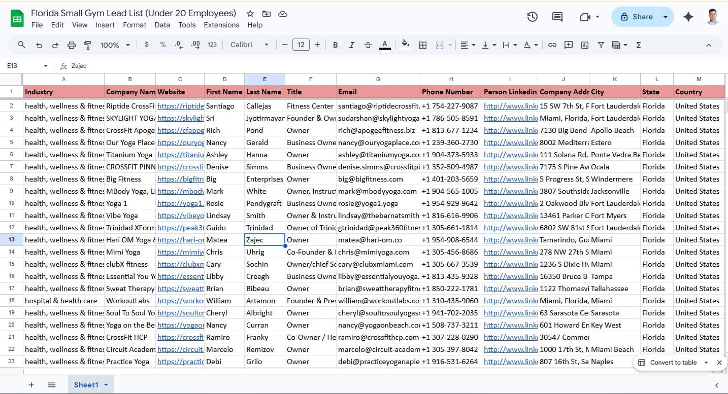 Florida Small Gym Lead List (Under 20 Employees)